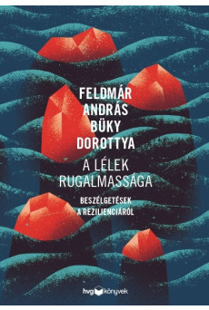 A lélek rugalmassága - Beszélgetések a rezilienciáról (e-könyv)