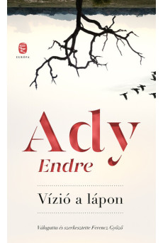 Vízió a lápon