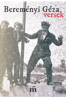 Versek (e-könyv)