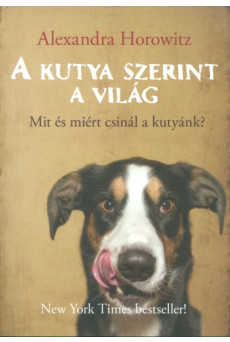 A kutya szerint a világ /Mit és miért csinál a kutyánk?