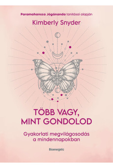 Több vagy, mint gondolod - Gyakorlati megvilágosodás a mindennapokban