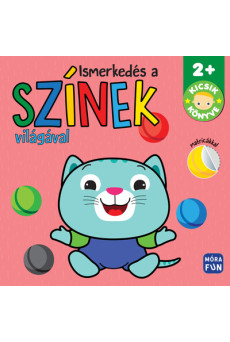 Ismerkedés a színek világával - Kicsik könyve