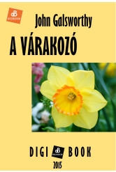 A várakozó (e-könyv)